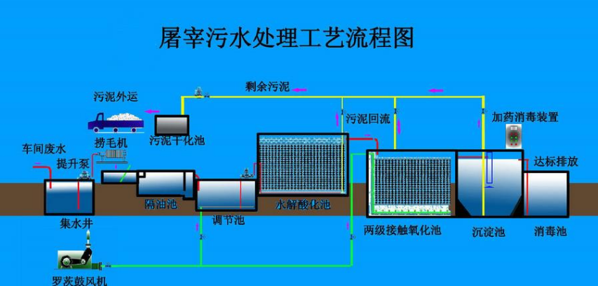 屠宰廠污水處理用什么藥劑